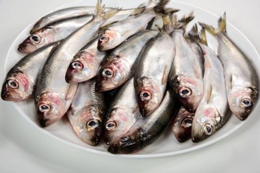 Beyaz arka planda beyaz bir tabakta bir sürü Baltık ringa Clupea harengus membraları