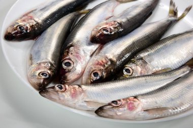 Beyaz arka planda beyaz bir tabakta bir sürü Baltık ringa Clupea harengus membraları