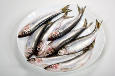 Beyaz arka planda beyaz bir tabakta bir sürü Baltık ringa Clupea harengus membraları