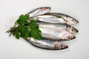 Bir sürü taze Baltık ringası Clupea harengus membraları ve beyaz arka planda yeşil yapraklar.