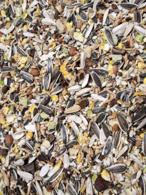 Çekirdekli kuş yemi. Çeşitli tohumların arkaplanı