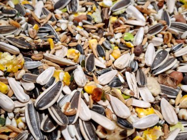 Çekirdekli kuş yemi. Çeşitli tohumların arkaplanı