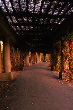Taş kolonlar ve sonbahar renklerinde tırmanma bitkileri ile kaplı, sıcak günbatımı ışığı ile banyo retro, nostaljik tonlarla, Wroclaw, Polonya 'da yakalandı.