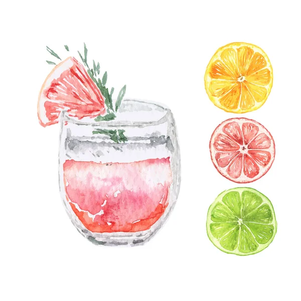Vektor Akvarell Citrus Drick Med Skivor — Stock vektor