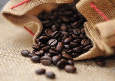 kahve çekirdekleri tuval çuval içinde