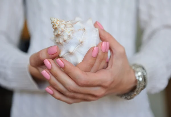 Beautiful sea shell in female hands — Stock Photo, Image