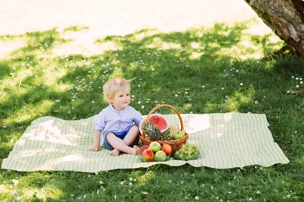 Malý chlapec sedí na rohoži na pikniku — Stock fotografie