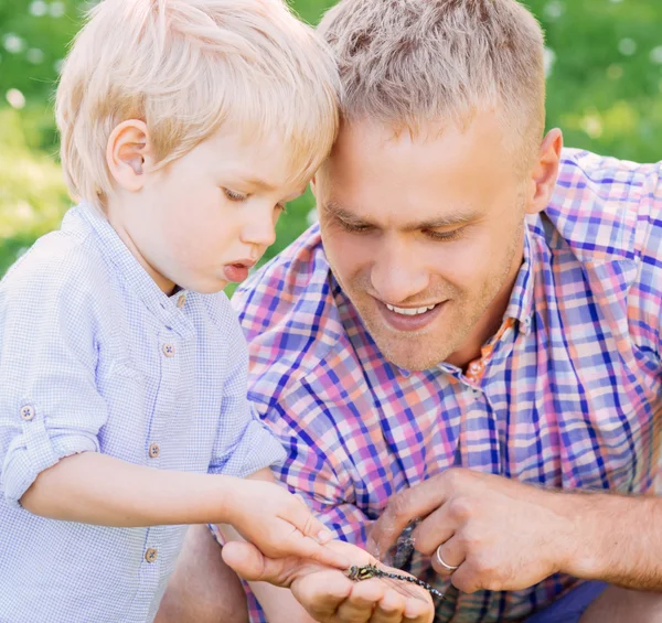 Tati, ukazující dragonfy svého syna — Stock fotografie