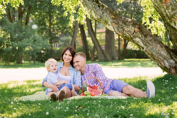 Familie genieten van een picknick in het park — Stockfoto