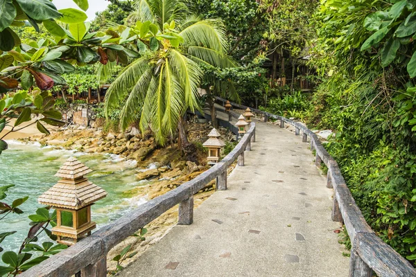 Caminho aventureiro pelas selvas com luzes de estilo tailandês — Fotografia de Stock