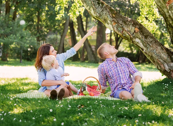 Семья устраивает пикник — стоковое фото