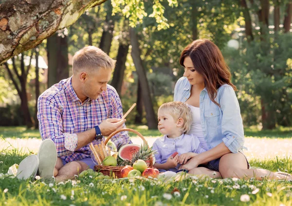 Mutlu aile piknikte — Stok fotoğraf