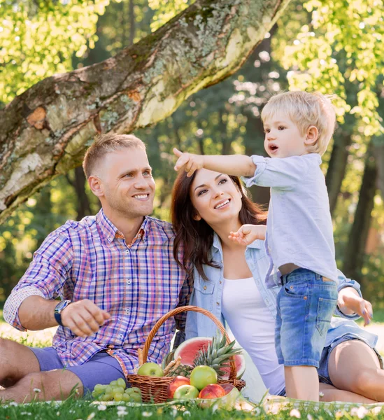 Familie beim Picknick im Park — Stockfoto