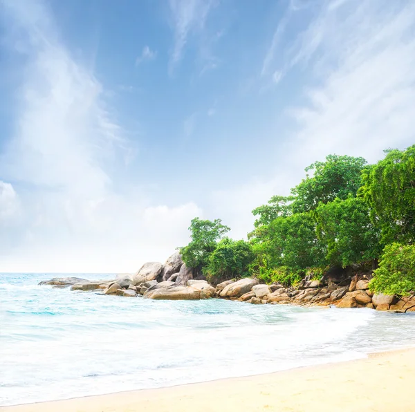 Beautiful view of the tropical beach in summer — Stock Photo, Image