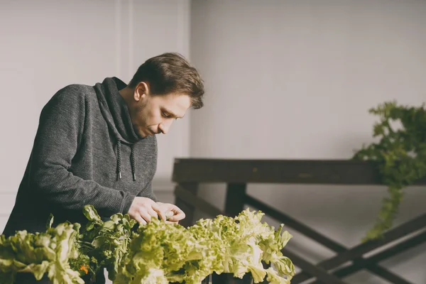 Mamá está revisando y cuidando las plantas. —  Fotos de Stock