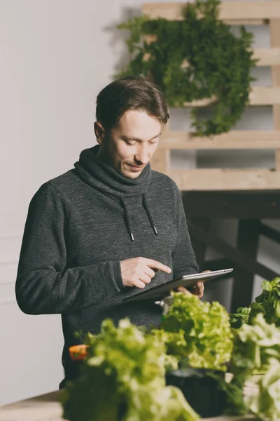 Ο άνθρωπος με το tablet, ενώ καλλιέργεια φυτών — Φωτογραφία Αρχείου