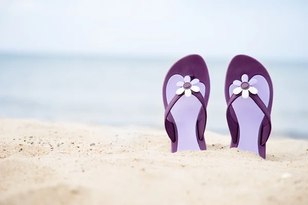 Hermosas chanclas moradas en la playa — Foto de Stock