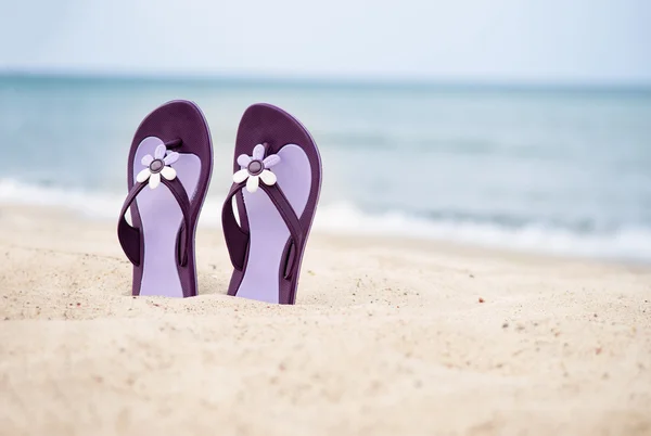 Красиві фіолетові фліп-флоп на пляжі — стокове фото
