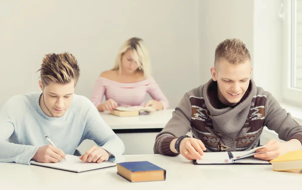 Group of teenager students studying at the lesson — Stock Photo, Image