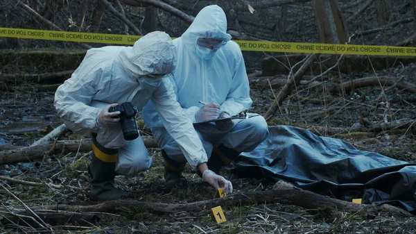 Detectives are collecting evidence in a crime scene. Forensic specialists are making expertise. Professional police investigation in a forest.