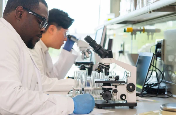 Scientist working in lab. Doctors making medical research. Biotechnology, chemistry, science, experiments and healthcare concept. Day light and window background.