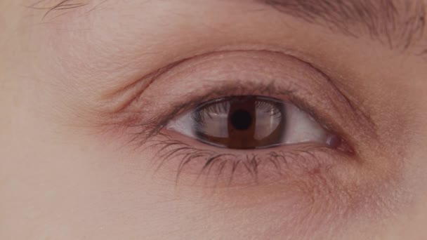Detailní záběr ženského hnědého oka. Žena se dívá do kamery zblízka. Makro duhovky, zornice a obočí. Poruchy zraku, oftalmologie a optometrie. — Stock video