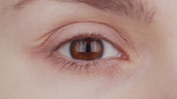 Zbliżenie kobiecego brązowego oka. Kobieta patrzy w kamerę z bliska. Iris, źrenica i brwi. Zaburzenia widzenia, okulistyka i optometria. — Wideo stockowe