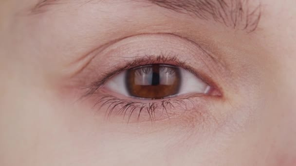 Gros plan de l'oeil brun femelle. Femme regarde le gros plan de la caméra. Iris, pupille et macro sourcils. Problèmes de vision, ophtalmologie et optométrie. — Video