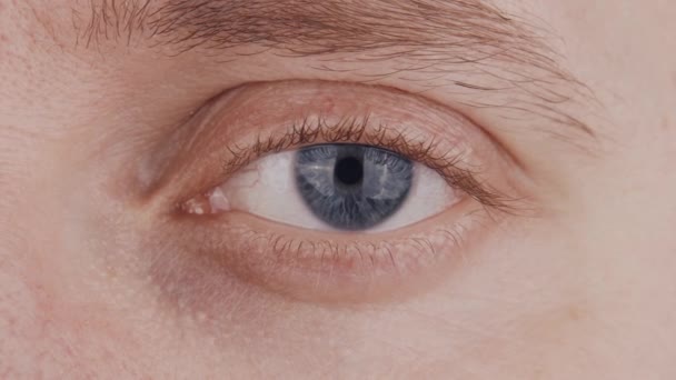 Gros plan de l'oeil bleu mâle. L'homme regarde la caméra de près. Iris, pupille et macro sourcils. Problèmes de vision, ophtalmologie et optométrie. — Video