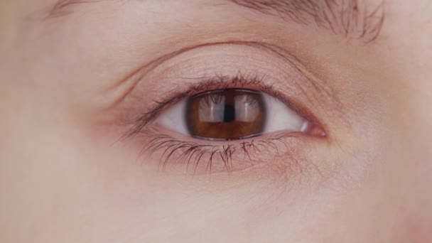 Nahaufnahme von weiblichen braunen Augen. Frau schaut in die Kamera aus nächster Nähe. Iris, Pupille und Augenbrauenmakro. Sehprobleme, Augenheilkunde und Optometrie. — Stockvideo