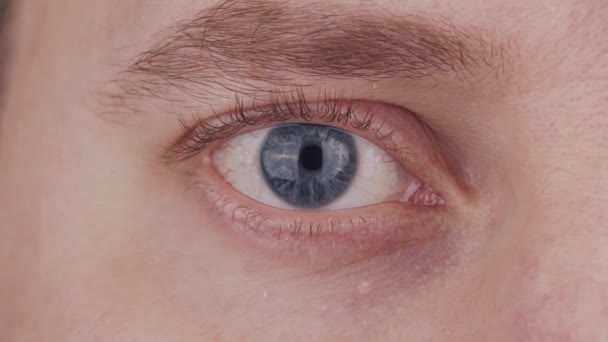 Primer plano del ojo azul masculino. El hombre está mirando la cámara de cerca. Iris, pupila y macro ceja. Problemas de visión, oftalmología y optometría. — Vídeos de Stock