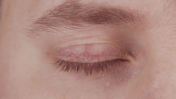 Närbild av ett mänskligt öga med ett digitalt skanningsgränssnitt. Identifieringsteknik och ögonmedicin. — Stockvideo