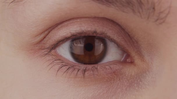 Nahaufnahme von weiblichen braunen Augen. Frau schaut in die Kamera aus nächster Nähe. Iris, Pupille und Augenbrauenmakro. Sehprobleme, Augenheilkunde und Optometrie. — Stockvideo