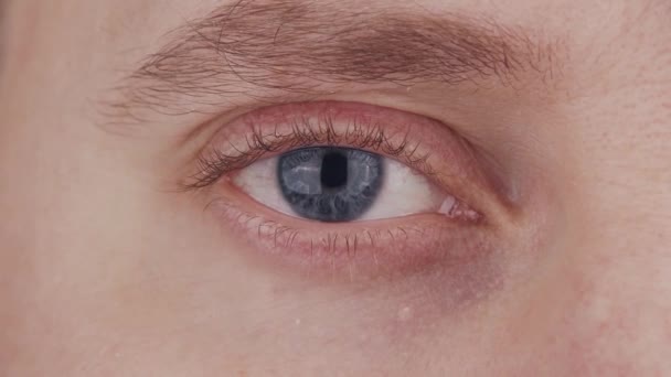 Gros plan de l'oeil bleu mâle. L'homme regarde la caméra de près. Iris, pupille et macro sourcils. Problèmes de vision, ophtalmologie et optométrie. — Video