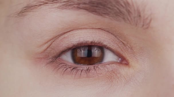 Nahaufnahme von weiblichen braunen Augen. Frau schaut in die Kamera aus nächster Nähe. Iris, Pupille und Augenbrauenmakro. Sehprobleme, Augenheilkunde und Optometrie. — Stockvideo