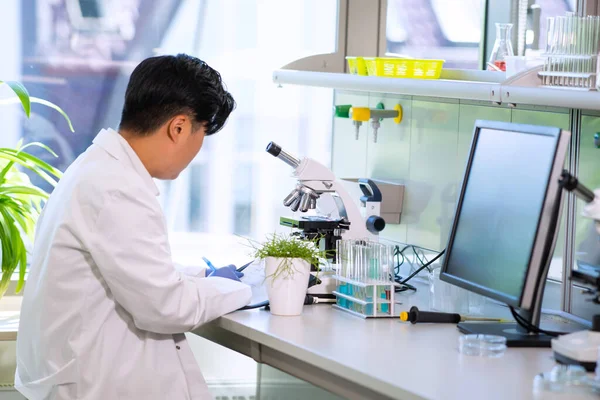 Médico asiático trabalhando em laboratório de pesquisa. Assistente de ciências a fazer experiências farmacêuticas. Química, medicina, bioquímica, biotecnologia e saúde. — Fotografia de Stock