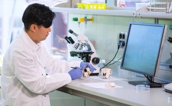 Médico asiático trabalhando em laboratório de pesquisa. Assistente de ciências a fazer experiências farmacêuticas. Química, medicina, bioquímica, biotecnologia e saúde. — Fotografia de Stock