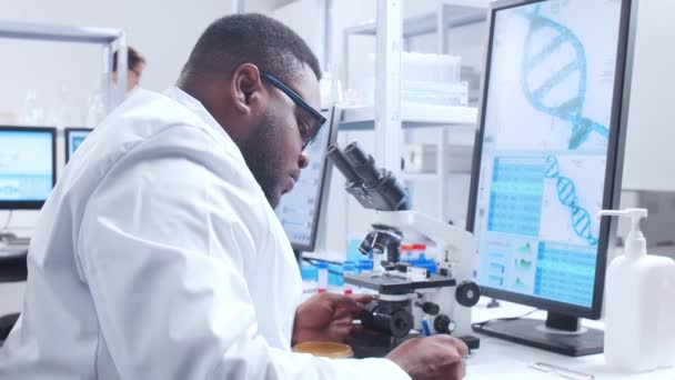 Professional African-American scientist is working on a vaccine in a modern scientific research laboratory. Genetic engineer workplace. Futuristic technology and science concept. — Stock Video