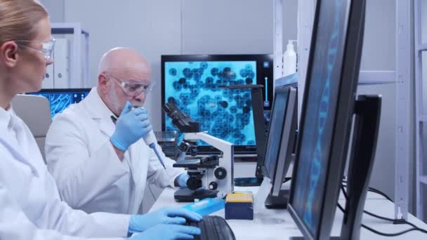 Az idősebb professzor és a fiatal laboratóriumi asszisztens tudományos kísérleteket végeznek egy modern laboratóriumban. Genetikai mérnökök munkahelyén. A tudomány, az orvostudomány és a vakcinafejlesztés fogalma. — Stock videók