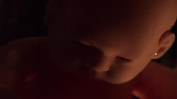 Menselijke baby in een vrouwelijke baarmoeder. Embryo ontwikkeling tijdens de zwangerschap. Imitatie met een pop. — Stockvideo