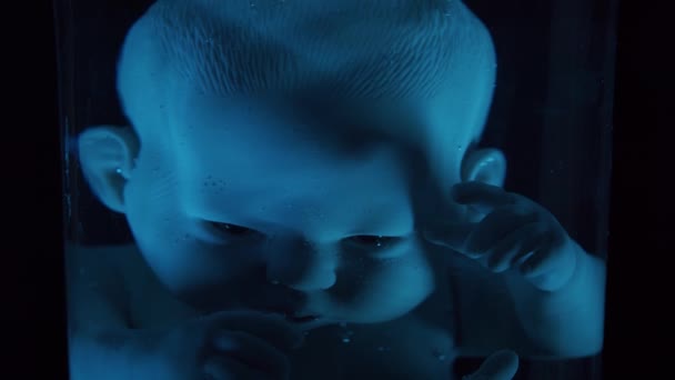 Bébé humain dans un utérus féminin. Développement d'embryons pendant la grossesse. Imitation avec une poupée. — Video