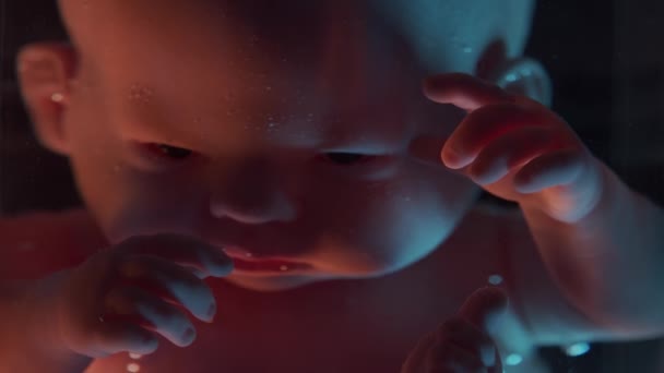 Menselijke baby in een vrouwelijke baarmoeder. Embryo ontwikkeling tijdens de zwangerschap. Imitatie met een pop. — Stockvideo