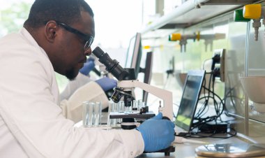 Laboratuvarda çalışan bir bilim adamı. Doktorlar tıbbi araştırma yapıyor. Biyoteknoloji, kimya, bilim, deneyler ve sağlık konsepti. Gün ışığı ve pencere arkaplanı.