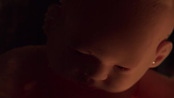 Menselijke baby in een vrouwelijke baarmoeder. Embryo ontwikkeling tijdens de zwangerschap. Imitatie met een pop. — Stockvideo