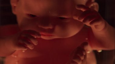 Kadın rahminde bir insan bebeği. Hamilelik sırasında embriyo gelişimi. Bir bebekle taklit..