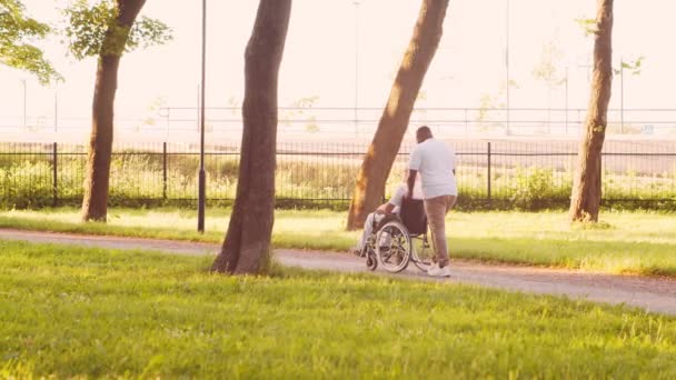 Afrikai-amerikai gondozó és egy tolószékes öregember. Hivatásos ápoló és mozgássérült beteg a parkban. Támogatás, rehabilitáció és egészségügyi ellátás. Arany óra naplemente. — Stock videók