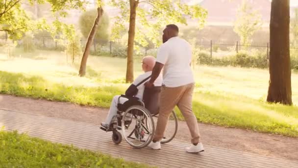 Cuidador afroamericano y anciano discapacitado en silla de ruedas. Enfermera profesional y paciente discapacitado en el parque. Asistencia, rehabilitación y atención médica. Atardecer hora dorada. — Vídeos de Stock