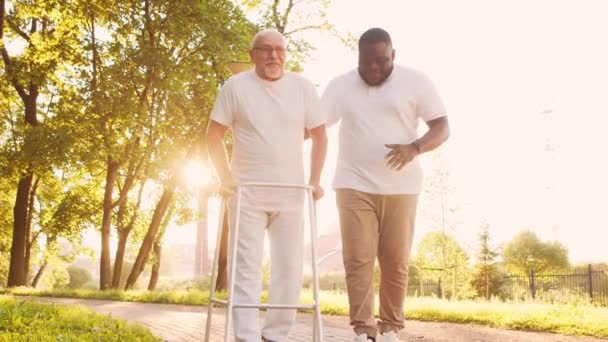 Az afro-amerikai gondozó mozgássérült öregembert tanít járni Walker-rel. Hivatásos ápoló és mozgássérült beteg a parkban. Támogatás, rehabilitáció és egészségügyi ellátás. Arany óra naplemente. — Stock videók
