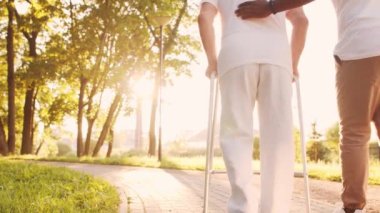 Afro-Amerikalı bakıcı engelli ihtiyara Walker 'la yürümeyi öğretiyor. Parktaki profesyonel hemşire ve özürlü hasta. Yardım, rehabilitasyon ve sağlık hizmetleri. Altın saat gün batımı.