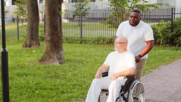 Αφρο-Αμερικανός φροντιστής και ηλικιωμένος ανάπηρος σε αναπηρική καρέκλα. Επαγγελματική νοσοκόμα και ασθενής με ειδικές ανάγκες στο πάρκο. Βοήθεια, αποκατάσταση και υγειονομική περίθαλψη. — Αρχείο Βίντεο
